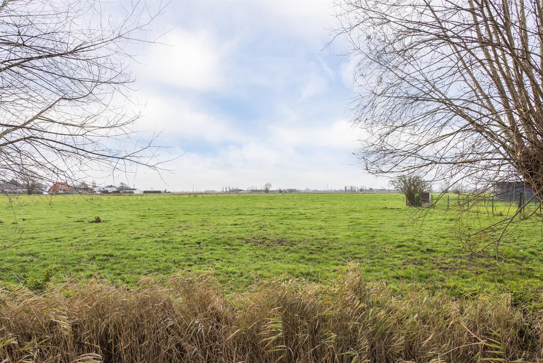 Charmante woning met uitzicht over polderlandschap foto 16