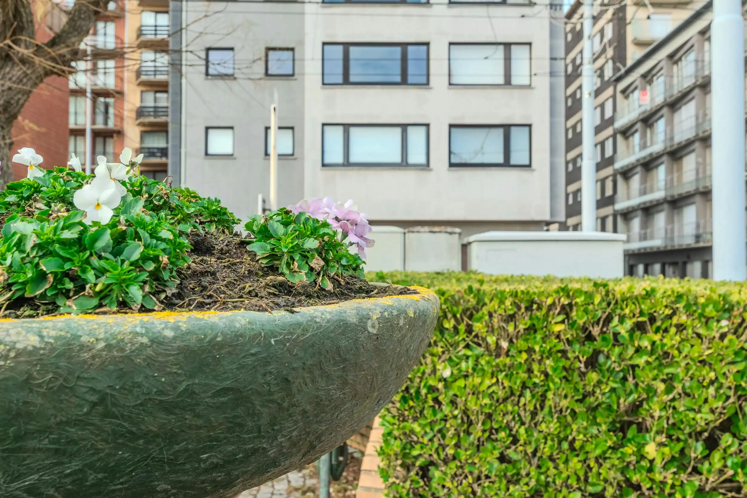 Tweeslaapkamer appartement met open zicht op de duinen! foto 16