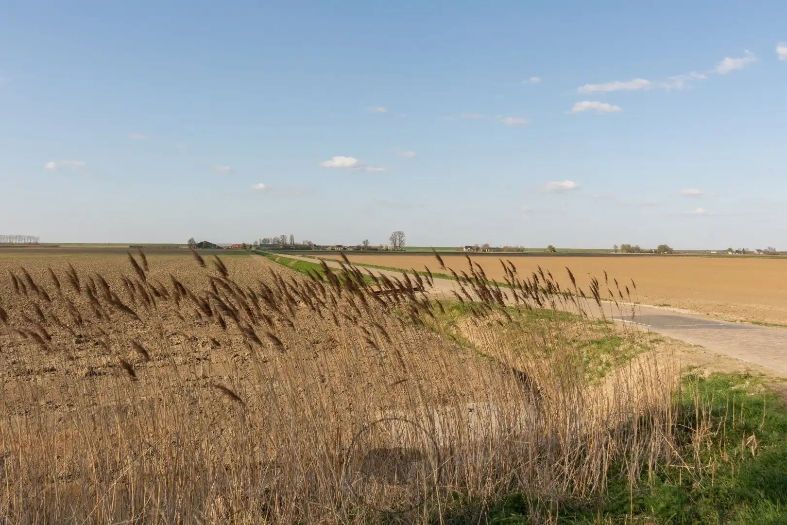Casco villa te Lamswaarde, Zeeuws Vlaanderen foto 17
