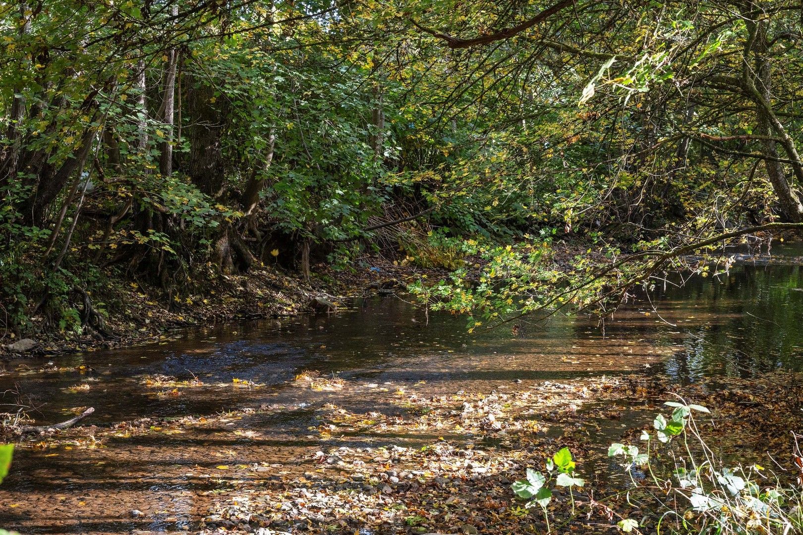 Gezellige chalet met 3 kamers in het vakantiedomein "Le Caillou d'Eau" te Pétigny Couvin met zicht op het riviertje l'Eau Noire - Chalet confortable de 3 chambres dans le domaine de vacances « Le Caillou d'Eau » à Pétigny Couvin avec vue sur la rivière l'Eau Noire foto 8