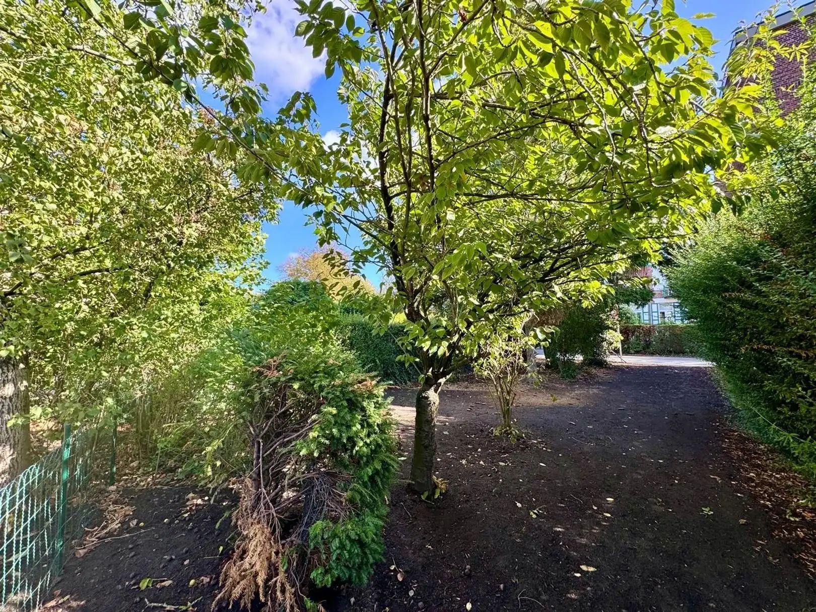 Nieuwbouw HOB in een rustige dreef foto 11