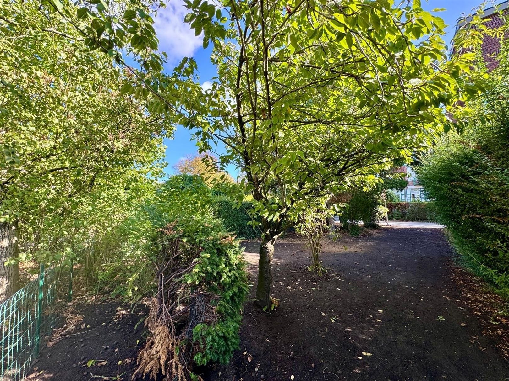 Nieuwbouw HOB in een rustige dreef foto 11