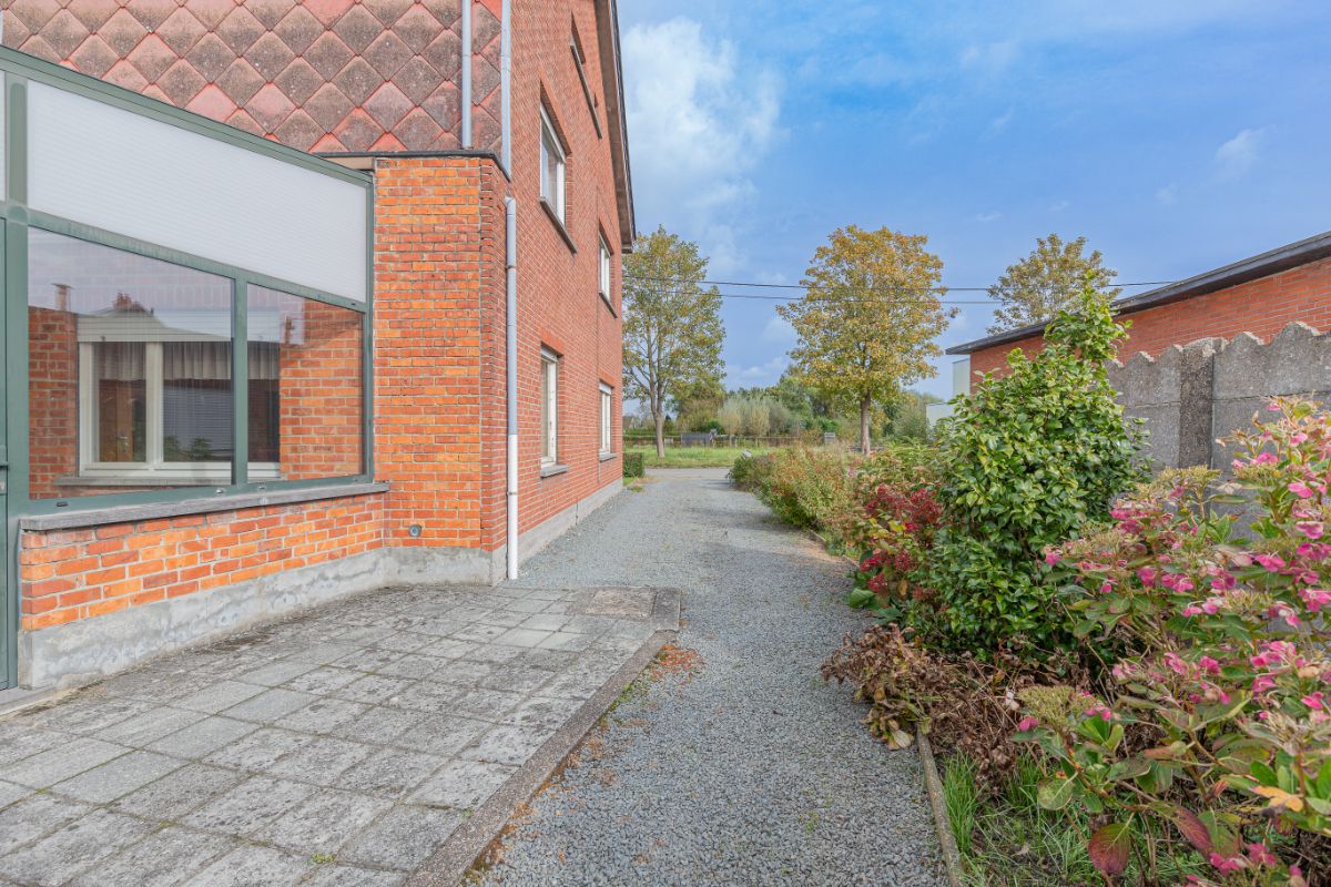 Renovatiewoning aan de rand van Buggenhout bos foto 13