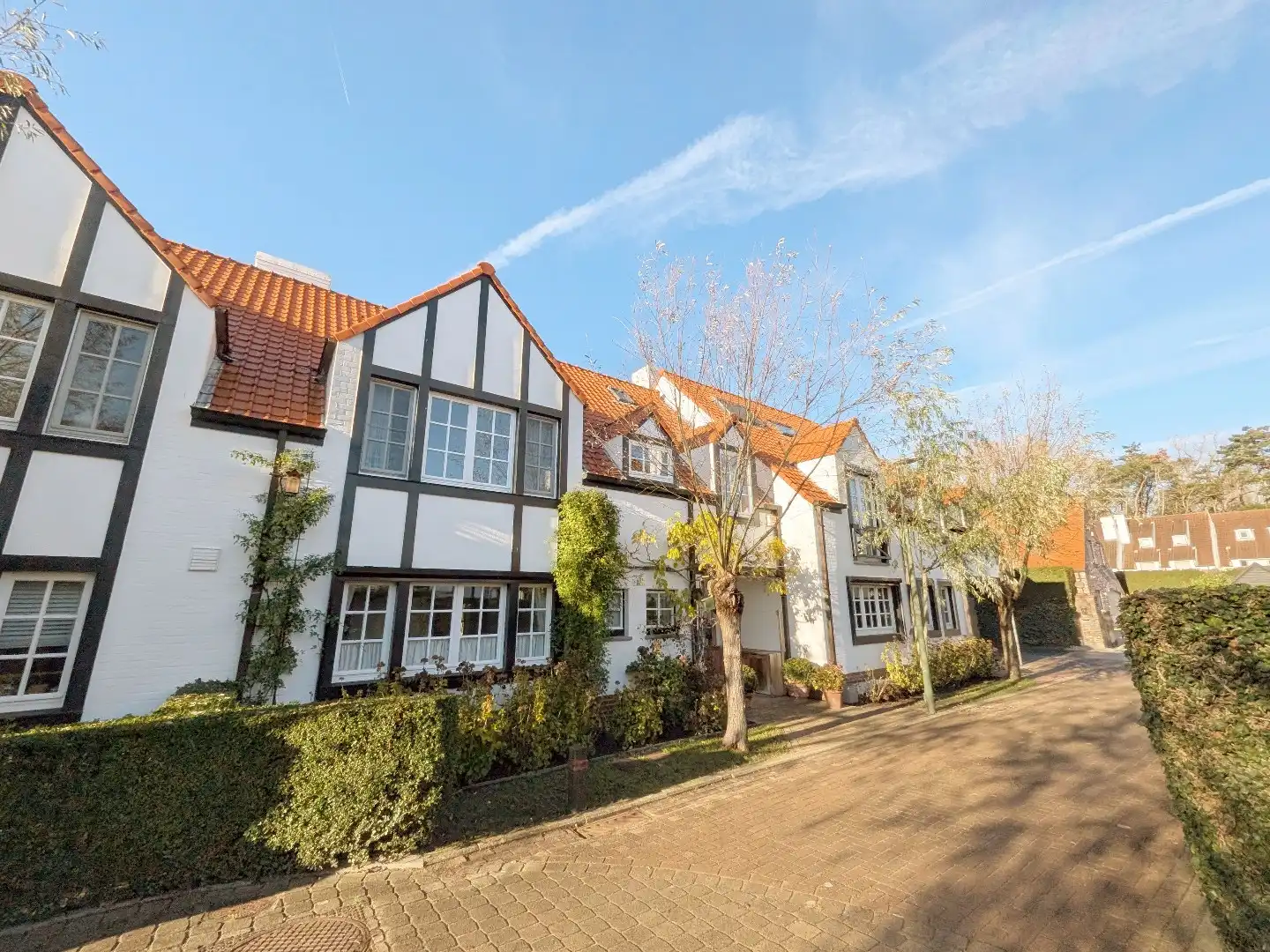 Charmante woning in cottagestijl nabij het Oosthoekplein foto 38