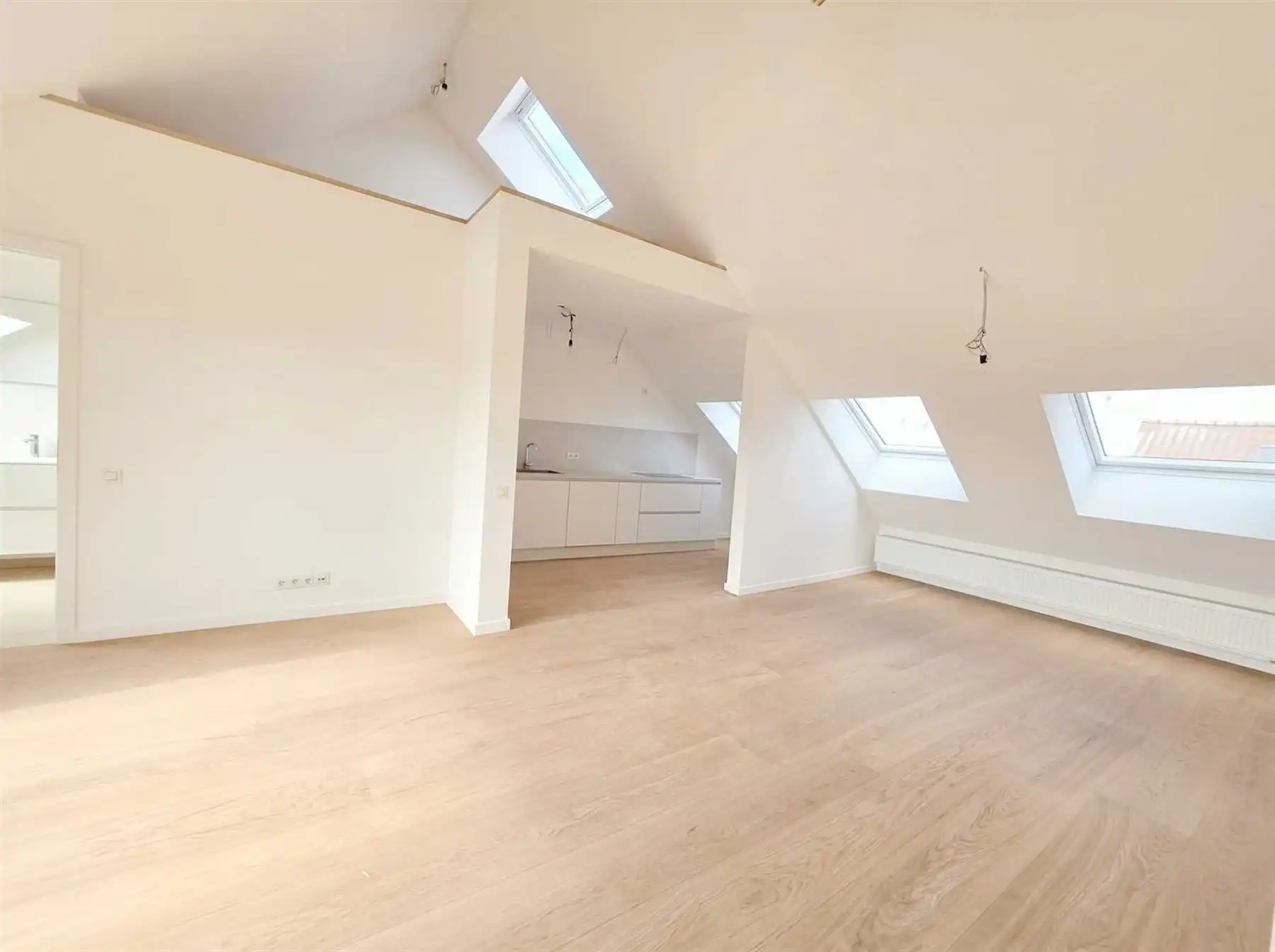 Prachtig gerenoveerd penthouse met 2 slaapkamers en terras nabij Zurenborg foto 9