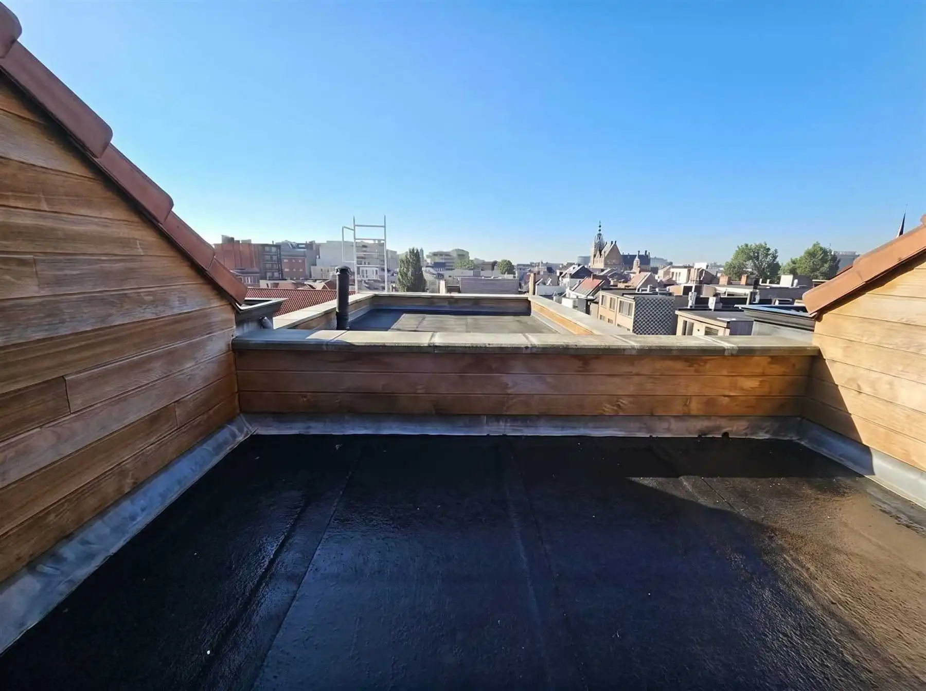Prachtig gerenoveerd penthouse met 2 slaapkamers en terras nabij Zurenborg foto 9