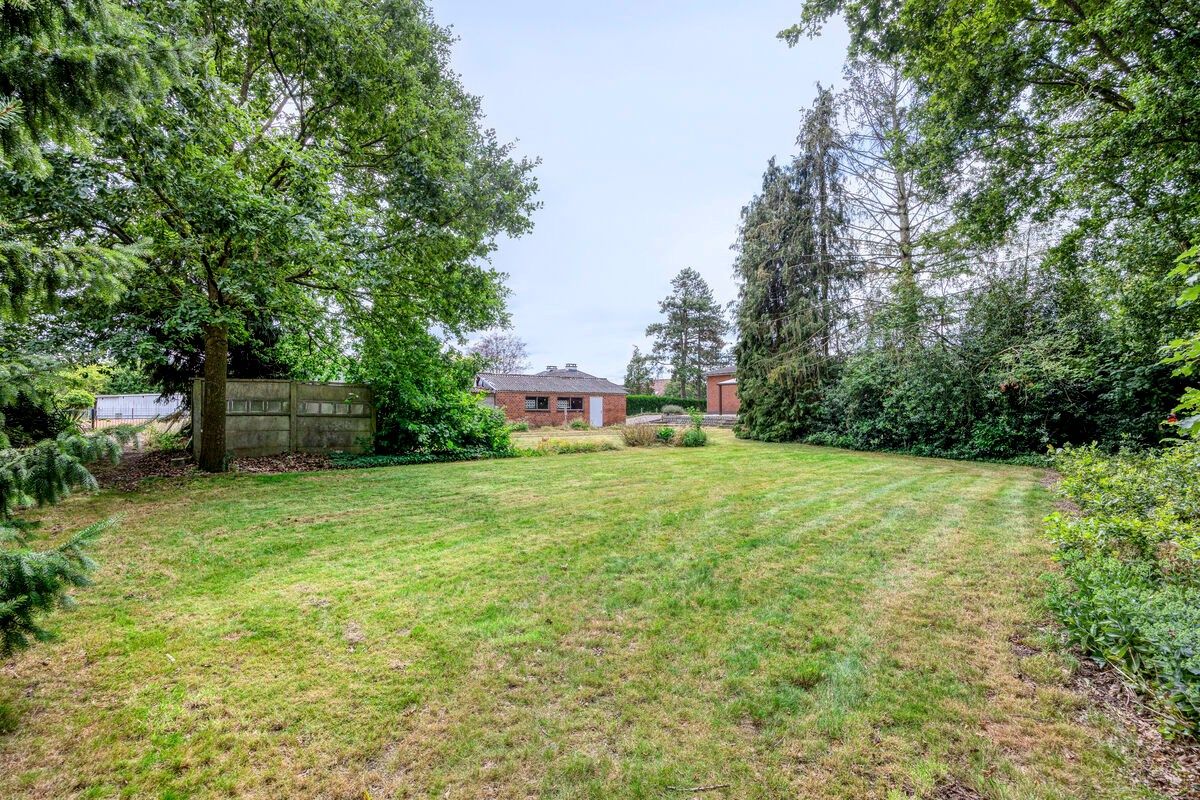 Ruim ingedeelde gelijkvloers woning met 4 slpks en bijgebouw/stal op 32 are foto 31