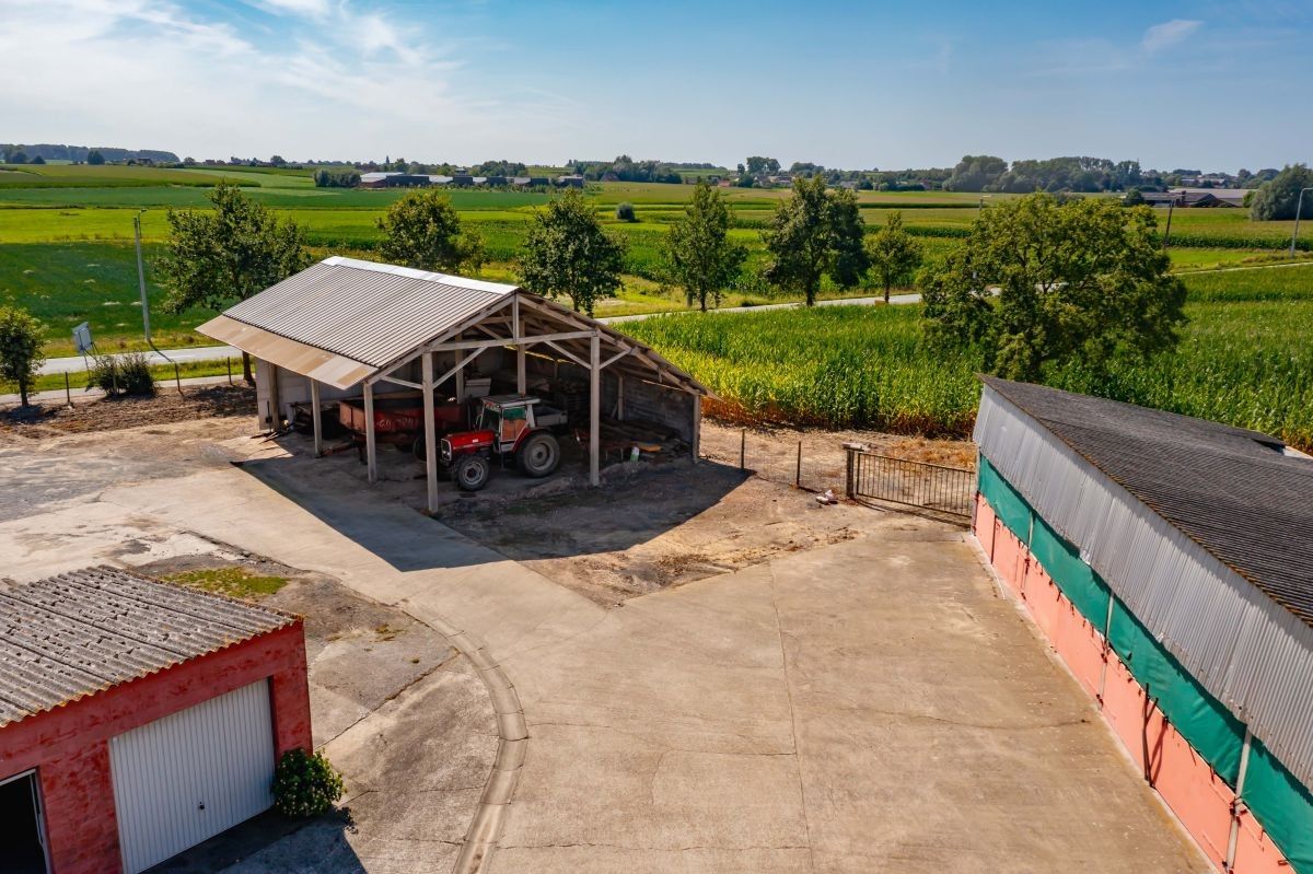 Prachtige hoeve te koop te Kruishoutem op 1,75 ha foto 6