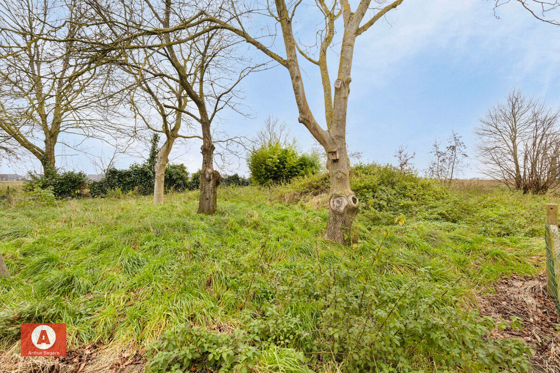 IN OPTIE - Ruime half-open bebouwing (lot 1) + aanpalende grond (lot 2) foto 27
