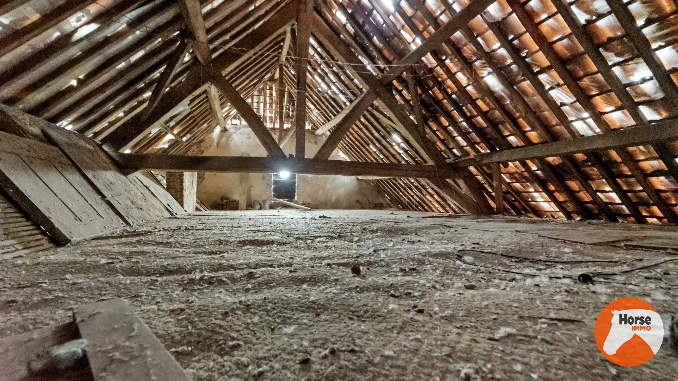 VOLLEZELE - Uniek gelegen karakterhoeve op ca. 2,4ha foto 35