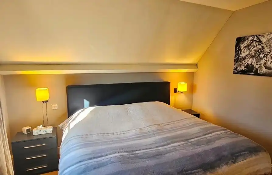 Huis te koop foto 16