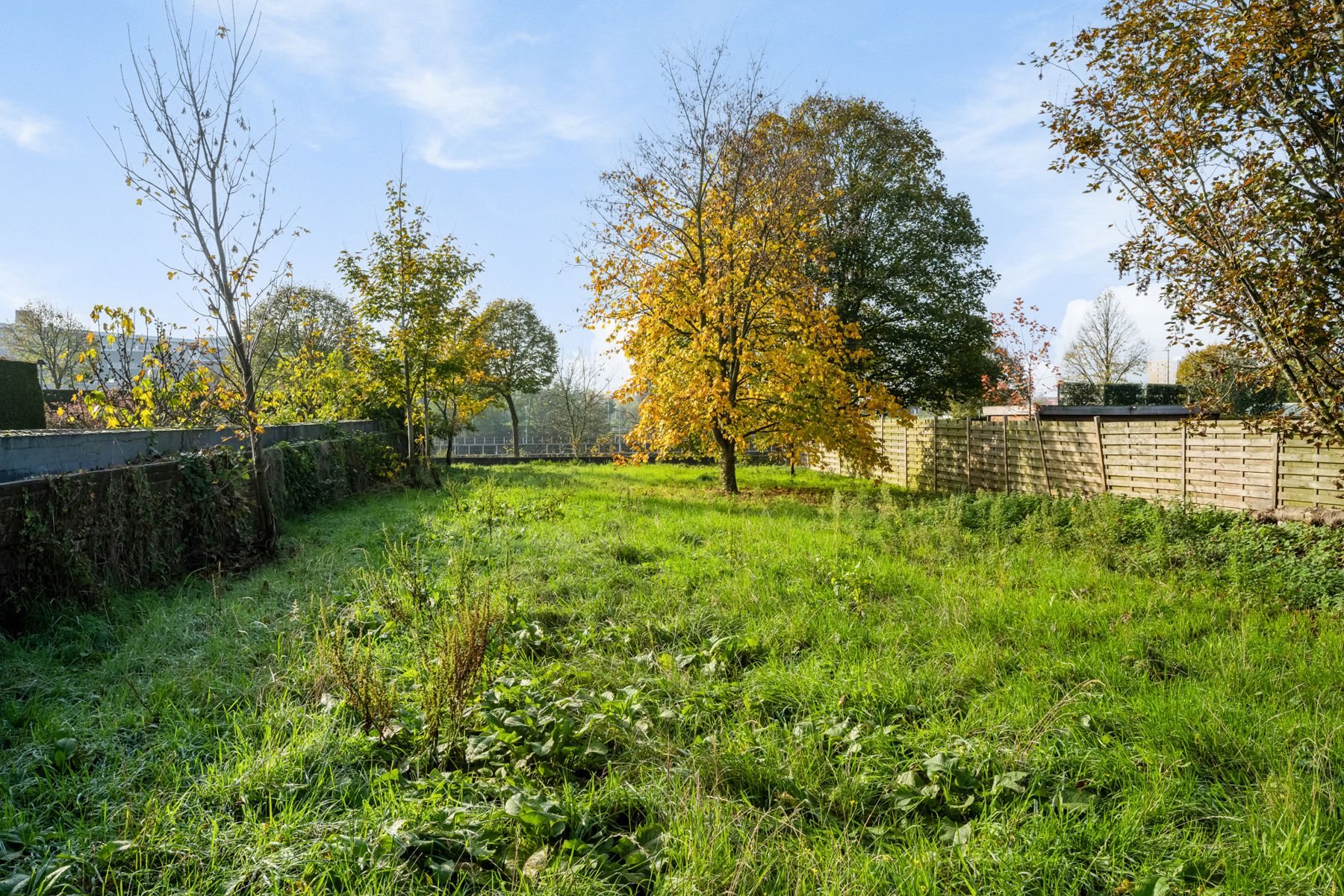 Te renoveren HOB met 4 kamers en grote tuin aan 6% btw! foto 6