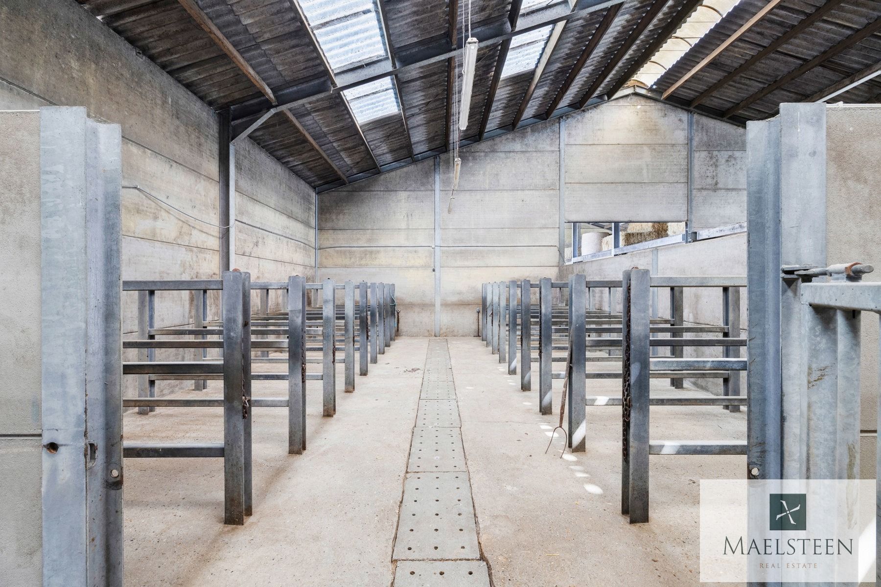 Boerderij met 7,8ha op de flank van Oedelem-berg  foto 40