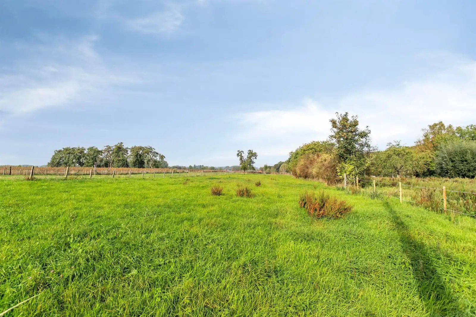 Prachtig gelegen bouwgrond te koop in Meerbeke  foto 2