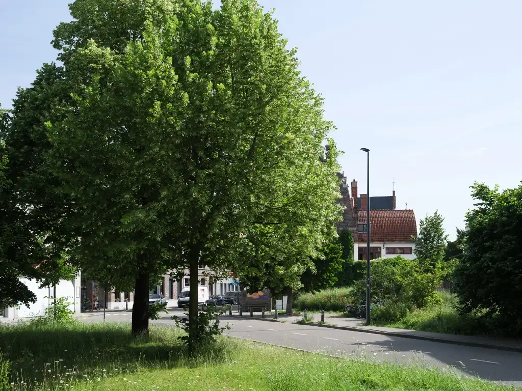 Uniek handelshuis met centrale ligging, bestaande uit een polyvalente kantoorruimte en een bovengelegen duplexappartement. foto 2