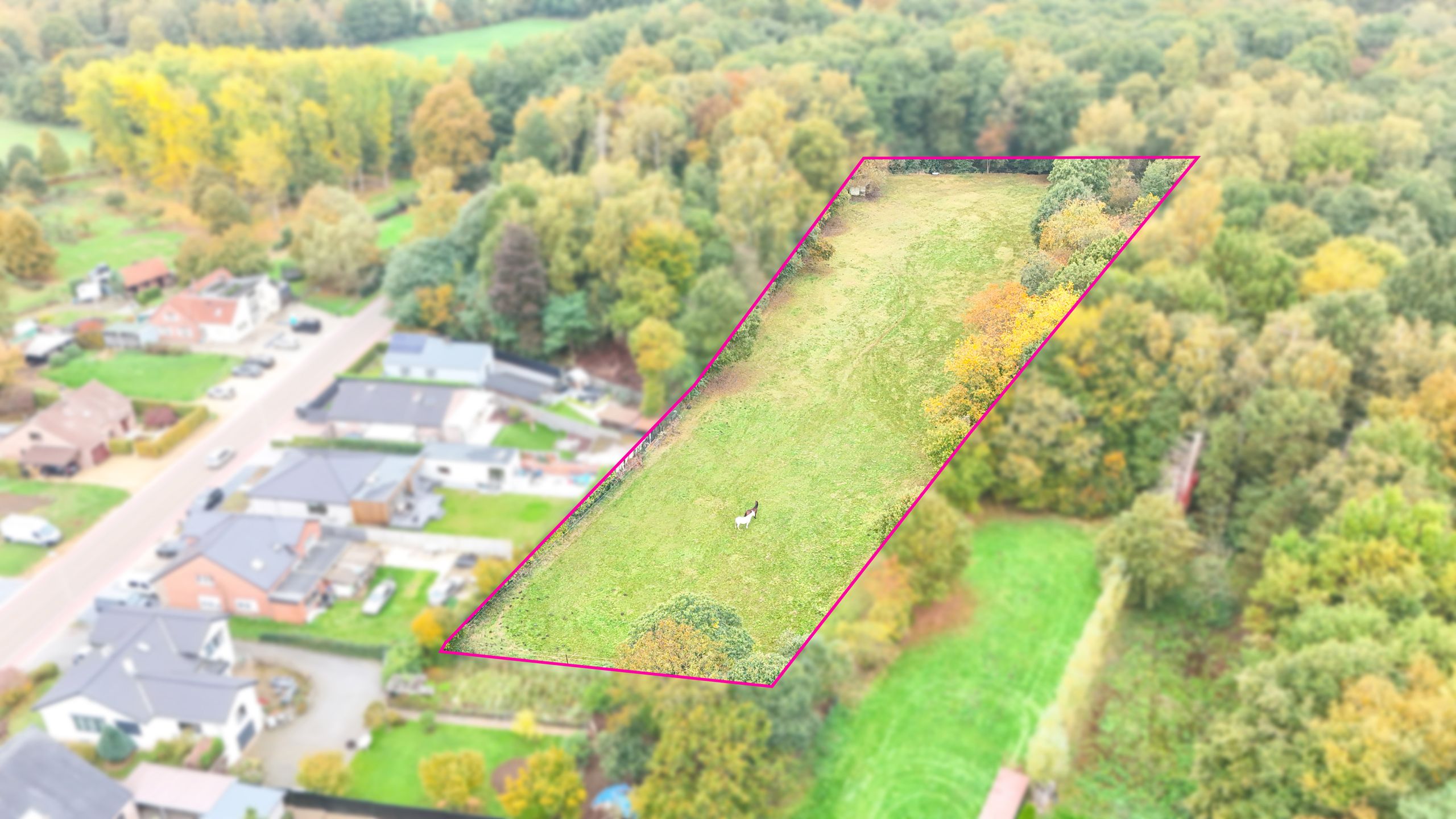 Weide van 90 are in prachtig gelegen gebied, omringd door bos! foto 2