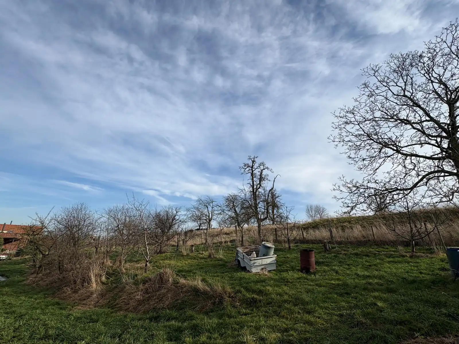 Boerderij te koop foto 39