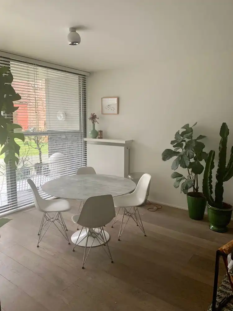 Groen en energiezuinig wonen in alle rust in hartje Antwerpen aan de befaamde Academie foto 8