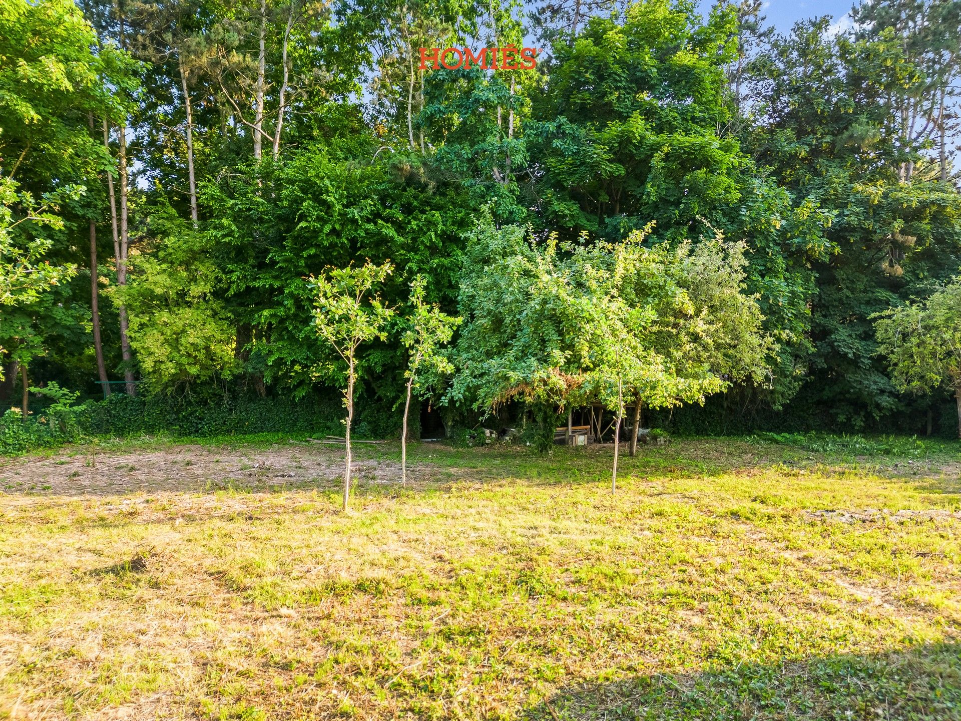 Ruime achtergelegen bouwgrond vlak bij Leuven foto 7