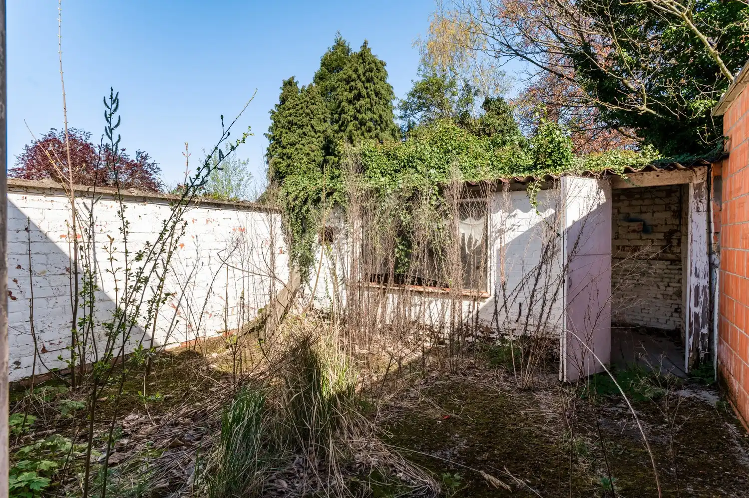 Handelsgelijkvloers met bovenliggend appartement in het centrum van Wommelgem! foto 11