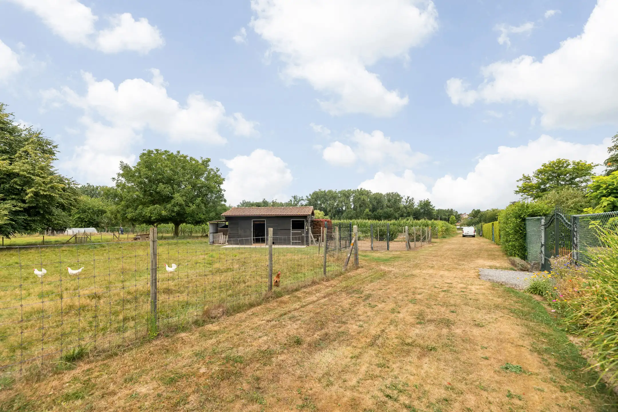 Halfvrijstaande woning op 49a62ca incl. weide foto 27