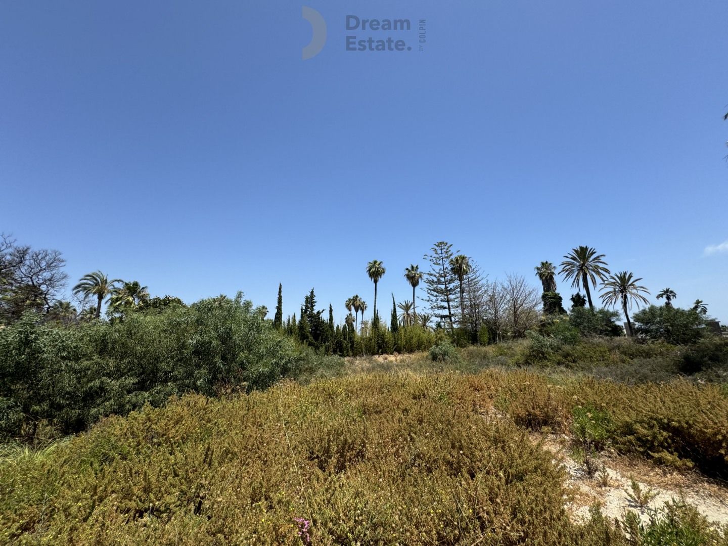 Laatste en grootste perceel beschikbaar in Atalaya de Rio Verde, Puerto Banús. foto 4