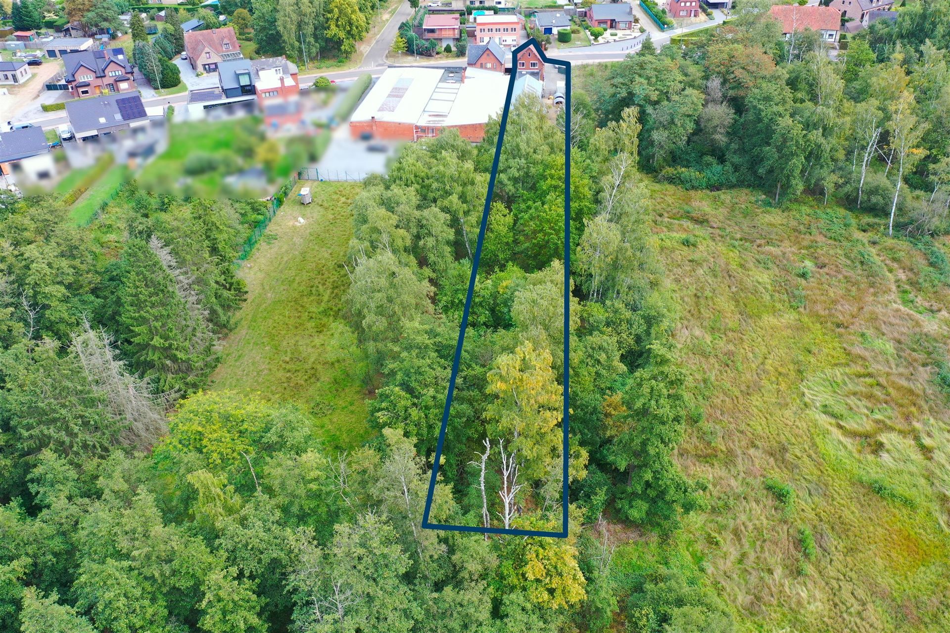 Gerenoveerde woning met loods (205m²) en privaat bos op 24a80ca in het rustige Zelem (Halen) foto 4