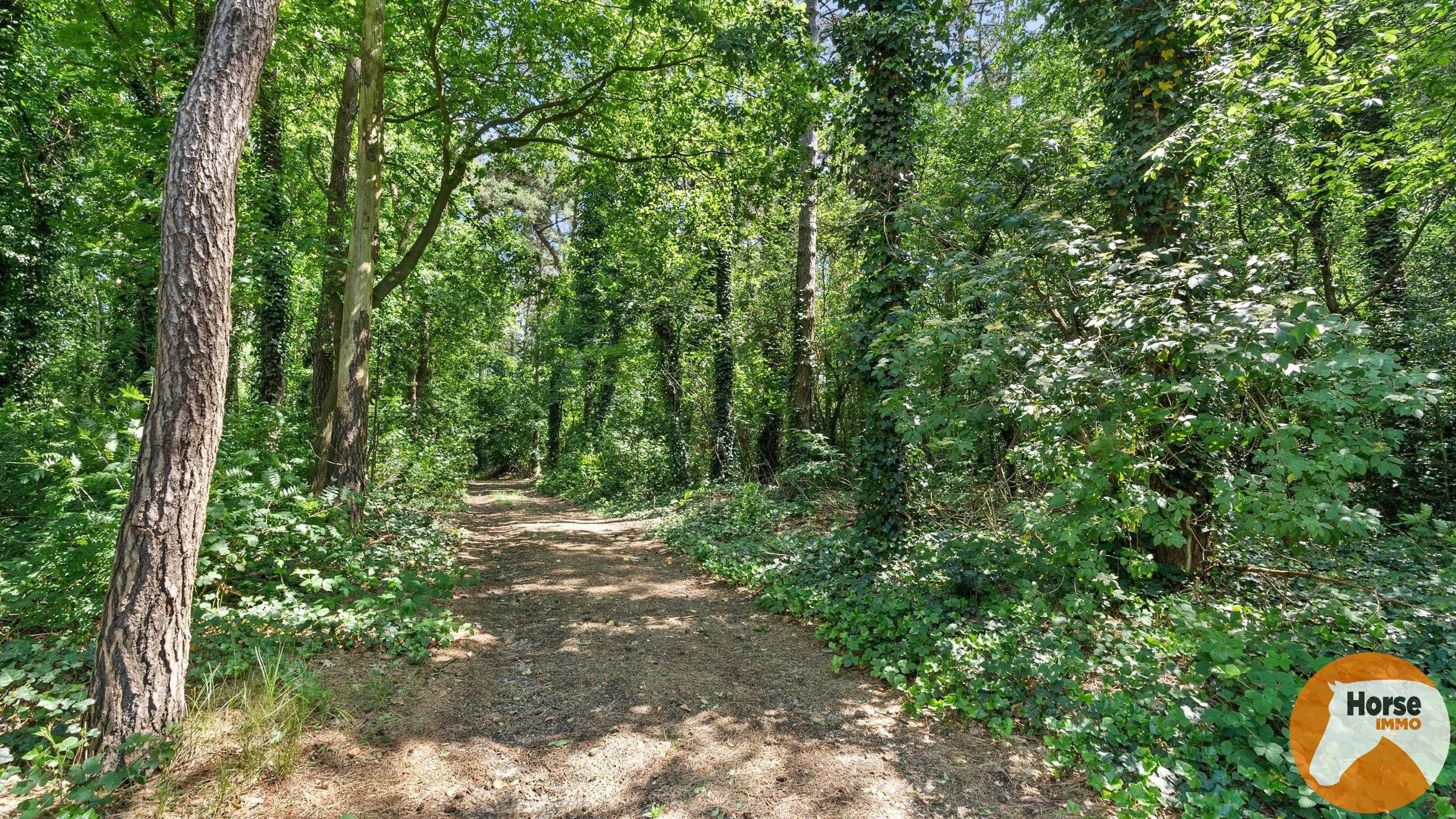 BERINGEN - Ruime woning + projectgrond foto 6