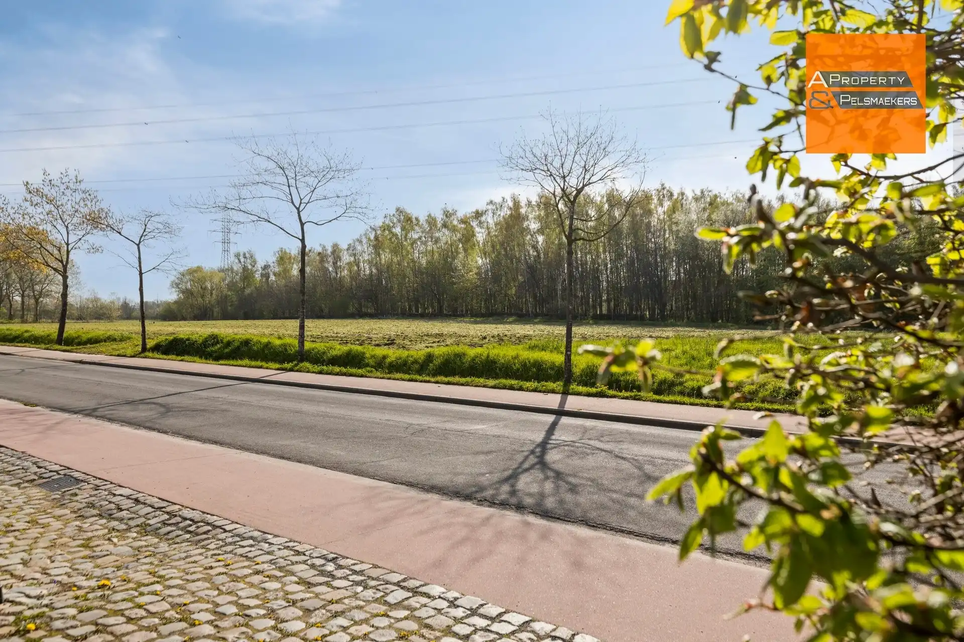 Instapklare, lichtrijke woning op topligging nabij natuurgebied Dorent foto 26