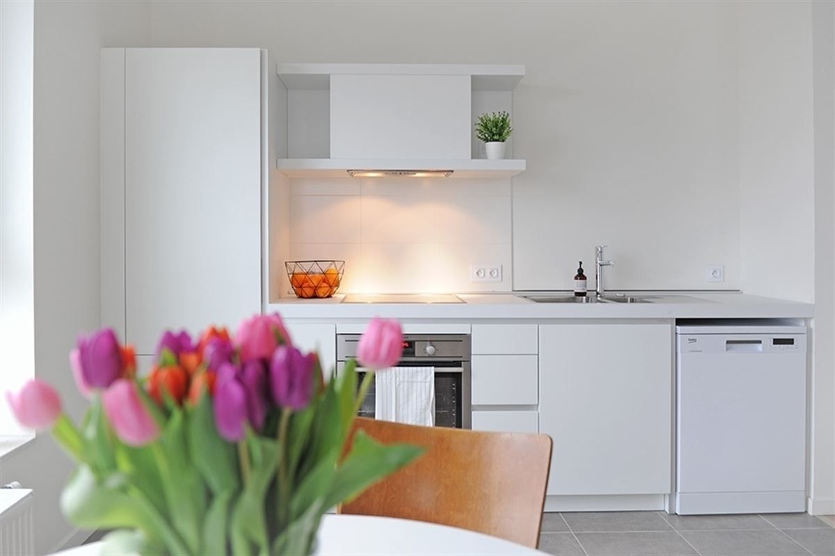 Mooi 1slaapkamer appartement met groot terras en zicht op de Schelde foto 2