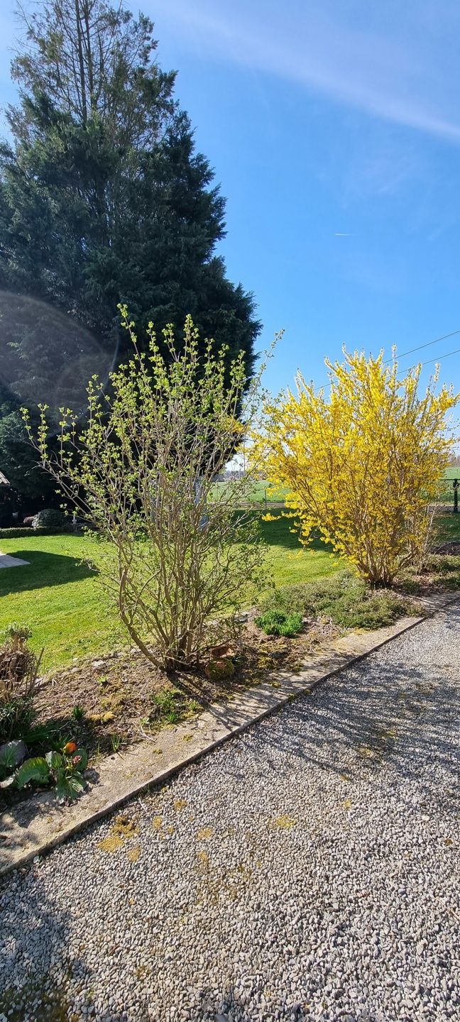 BEKKEVOORT - Landelijk gelegen woning op 65a90 foto 22