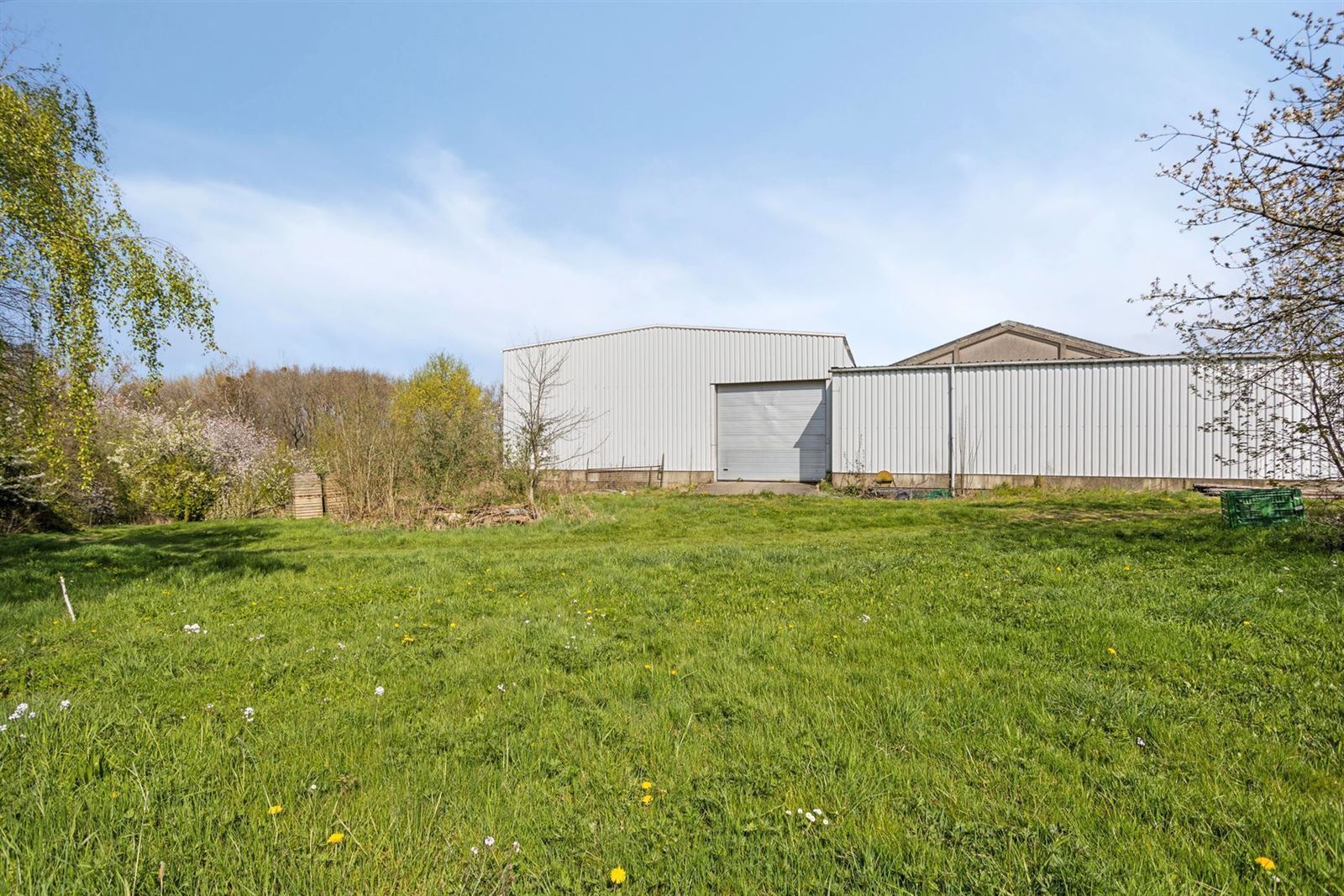 Te renoveren woning met schuur en loodsen  foto 33