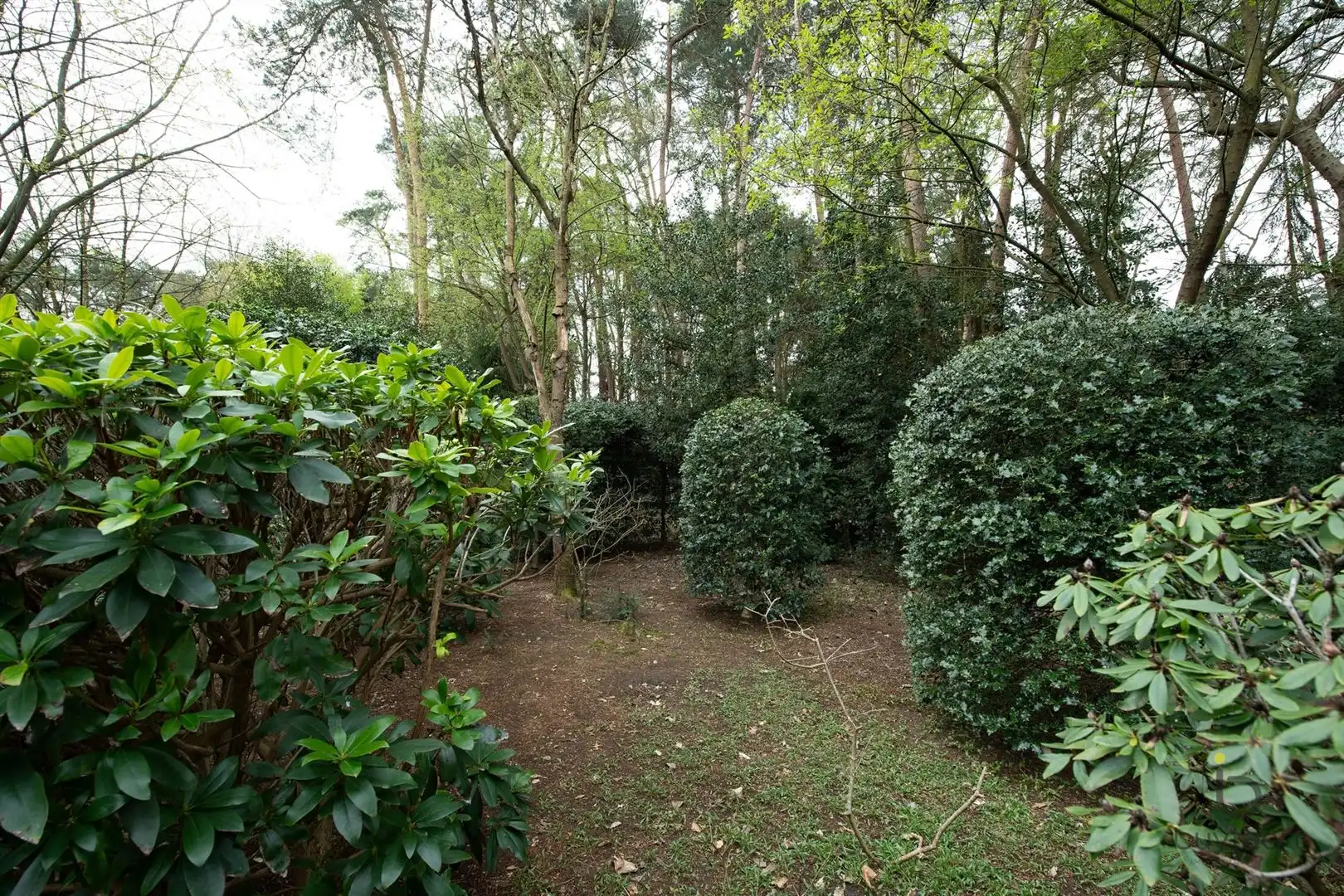 Energiezuinige en verzorgde bel-étage VILLA met veel potentieel! foto 51