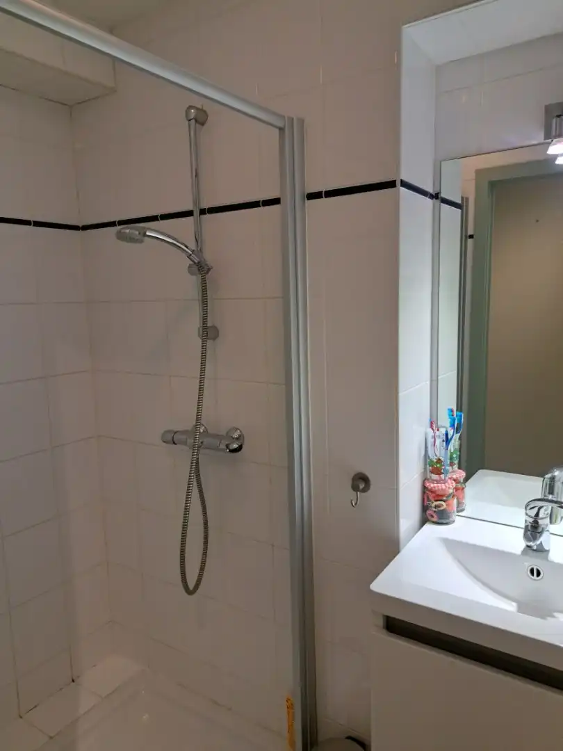 ZUIDGERICHT MODERN APPARTEMENT OP EEN BOOGSCHEUT VAN DE ZEEDIJK  foto 8