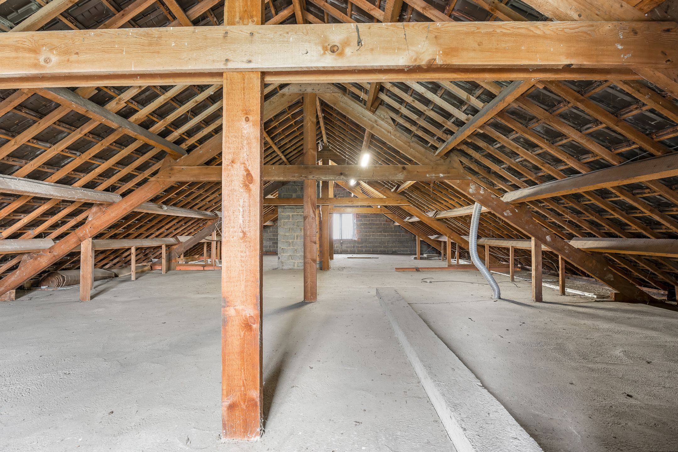 Woning met ruime bijbouw van 200m2 te Diepenbeek foto 25