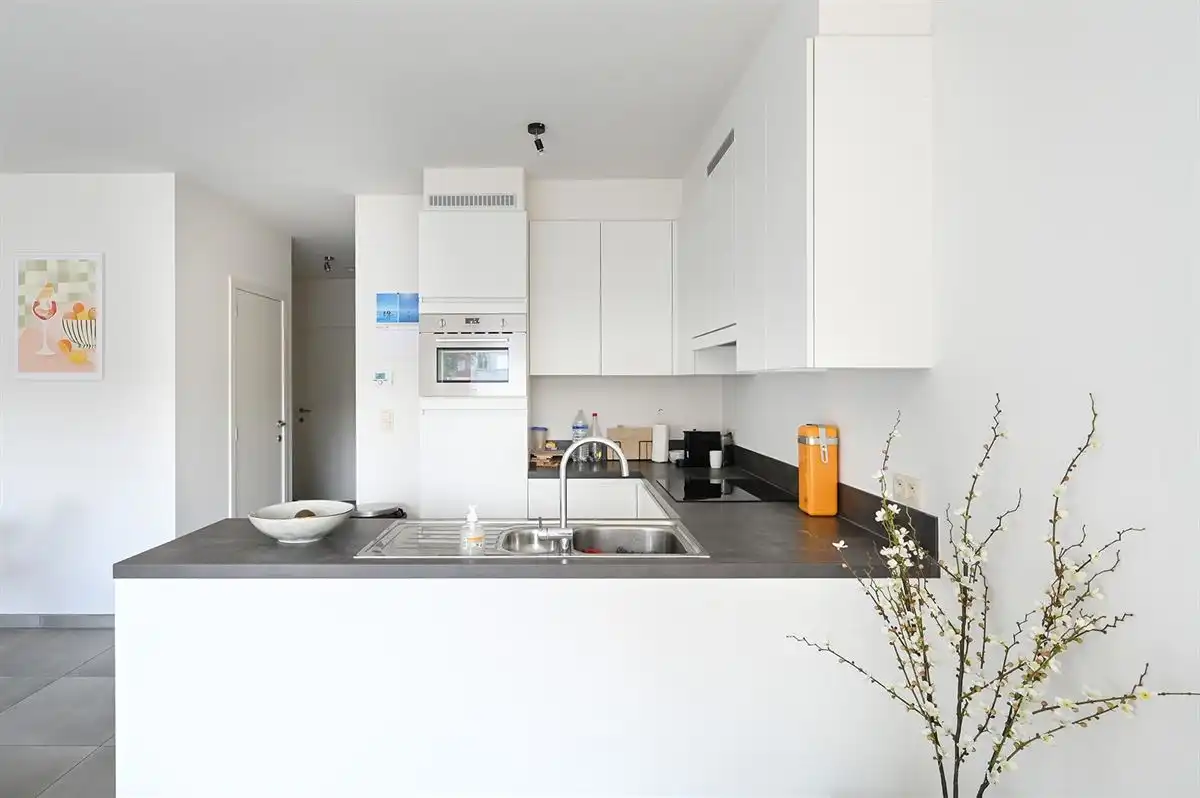 Appartement met 2 slaapkamers, groot terras en garage foto 3