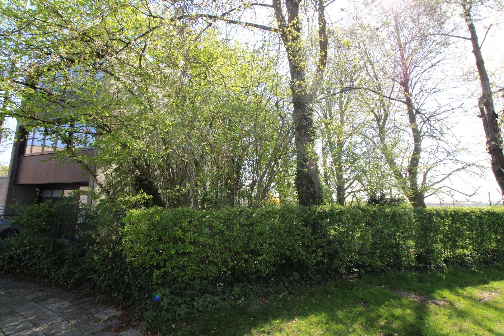 Ruime bel-étage woning met zeer grote tuin en garage in Antwerpen, 3 slaapkamers, bouwjaar 1975, 533m² perceeloppervlakte, zuidgerichte tuin en terras foto 5