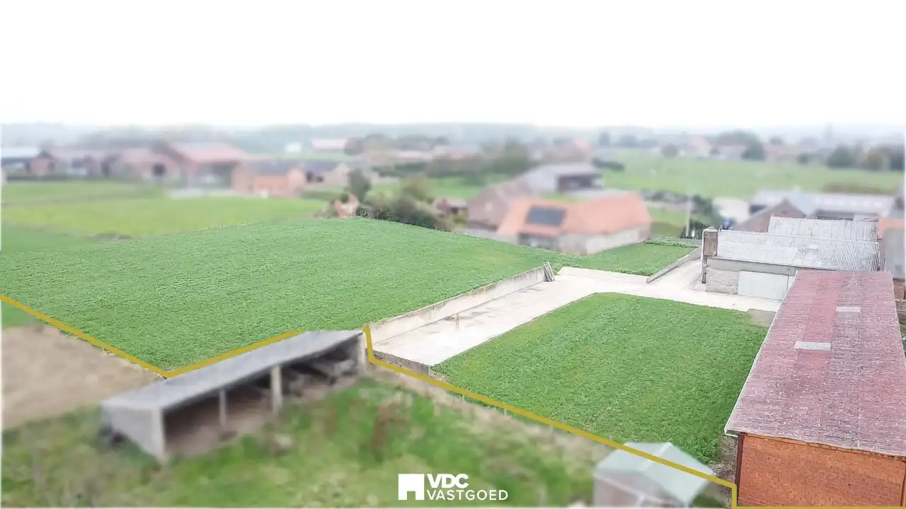 Voormalige boerderij met loods en veestal op perceel van 6.920 m² – volledig te renoveren foto 4