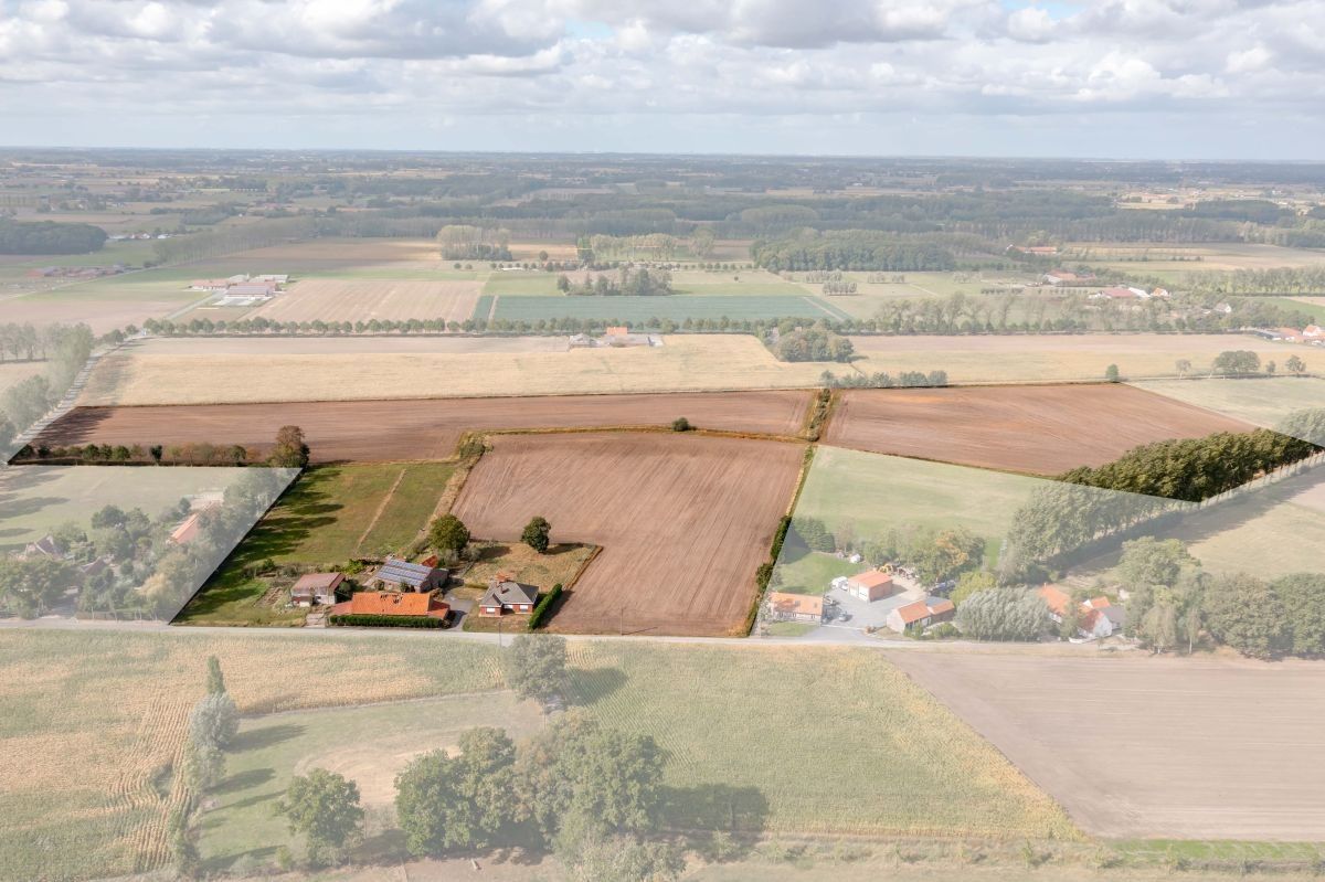 Hoeve op circa 10 ha te koop te Maldegem foto 2