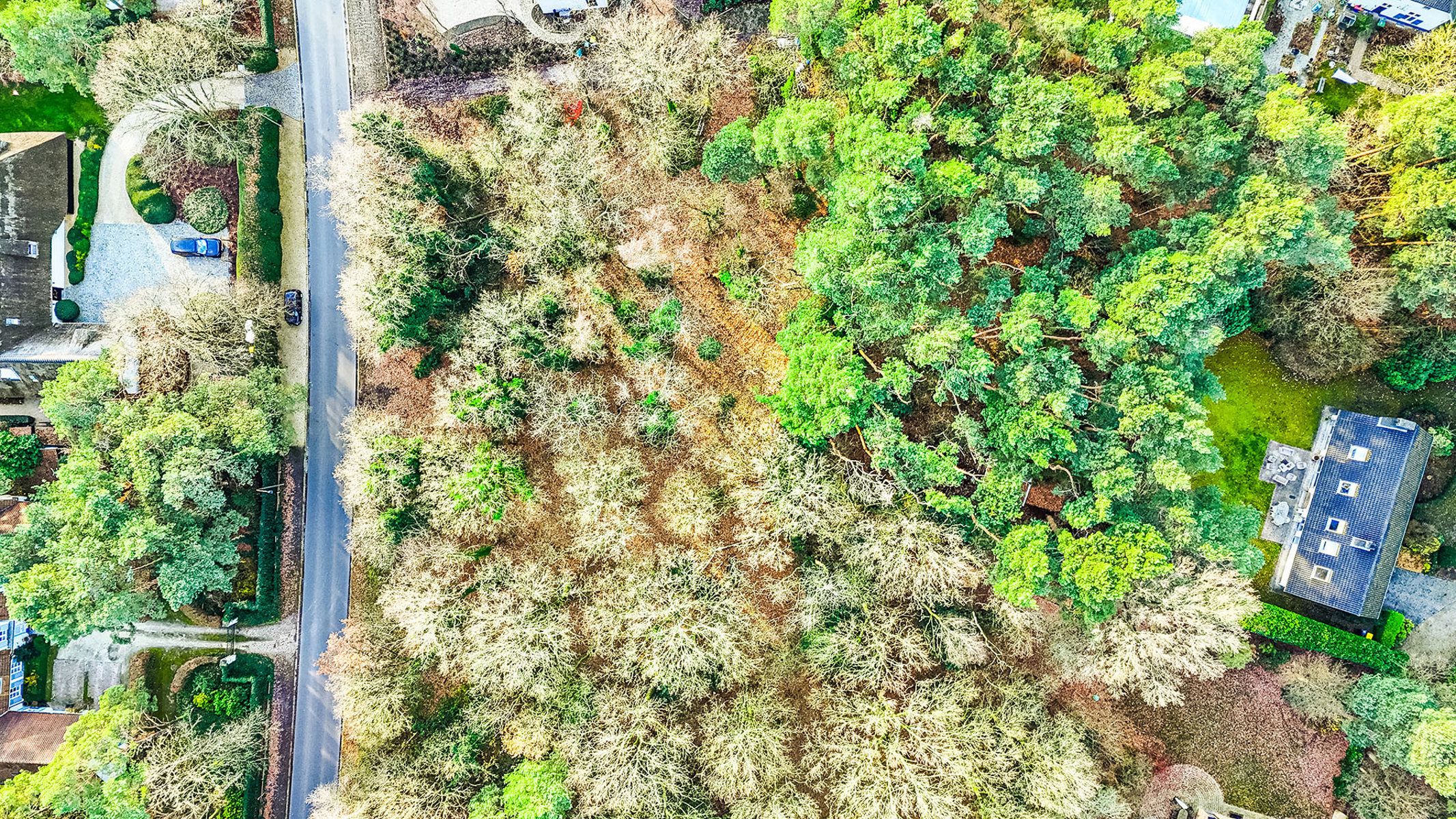 Exclusieve bouwgrond van 4.370 m² in “Golf & Meer”-domein foto 8