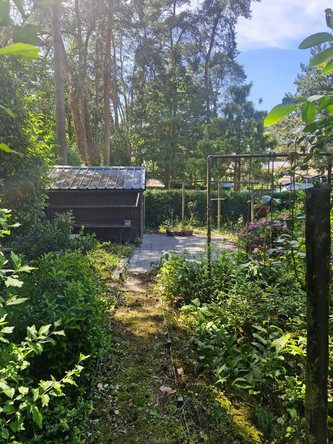 Huis te koop foto 18