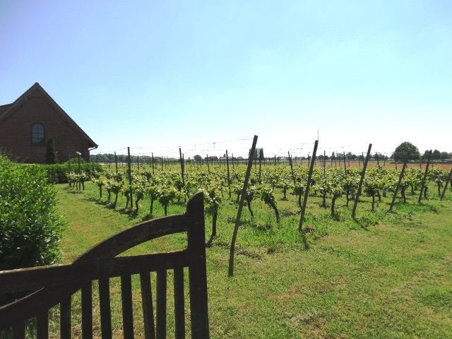 Hoeve foto 4