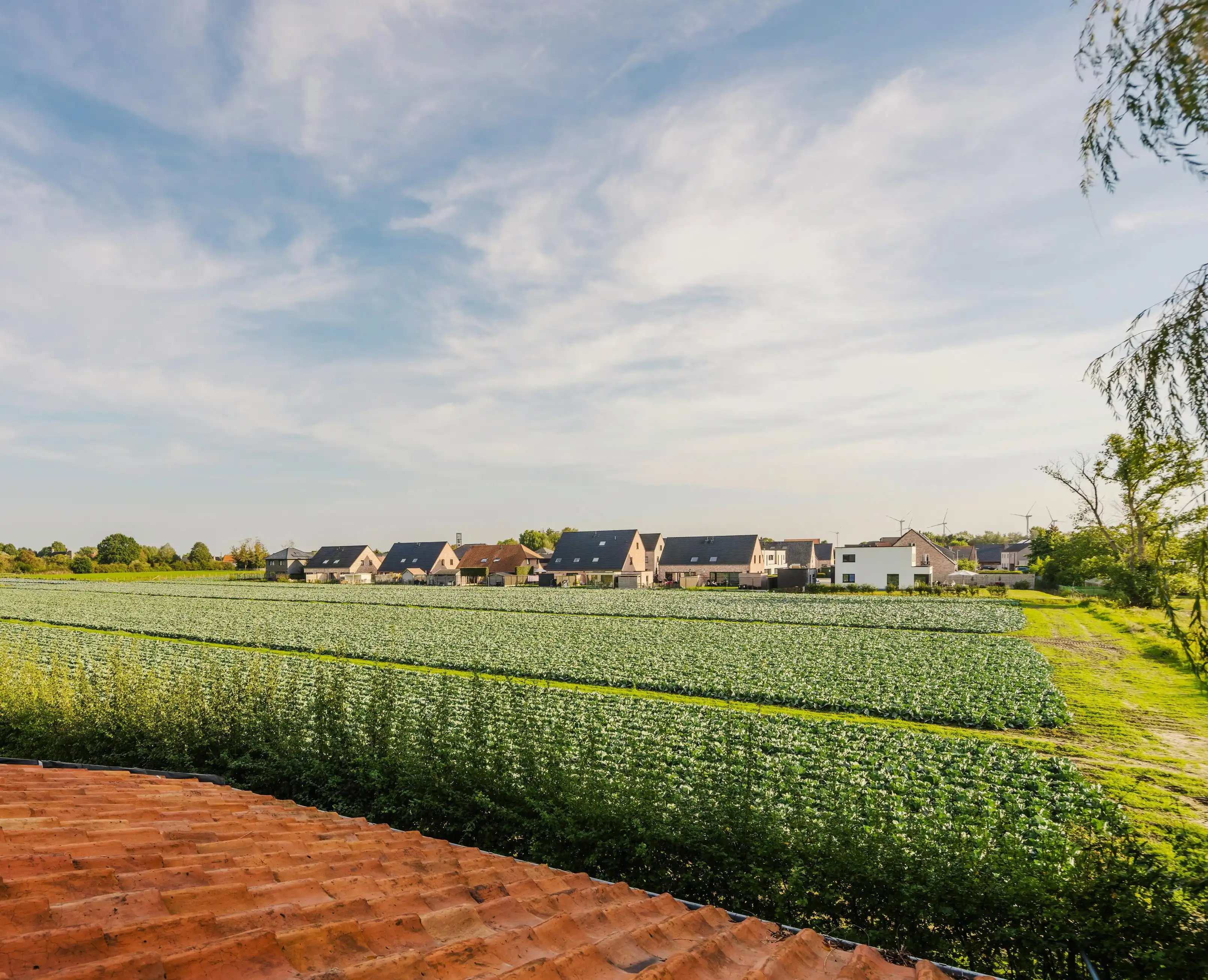 Uitzonderlijke villa met idyllisch landelijk zicht op 3320m² foto 15