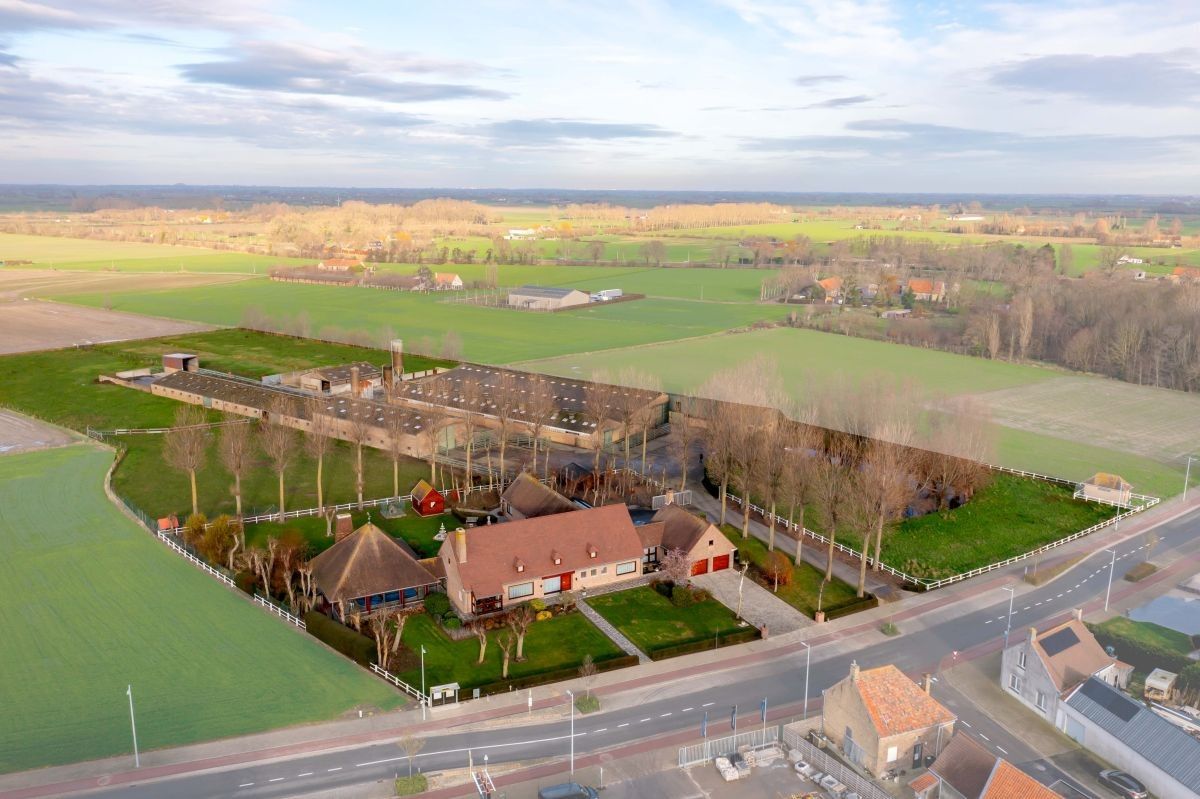 Hoofdfoto van de publicatie: Vleesveebedrijf te koop op 3,29 ha te koop te Alveringem