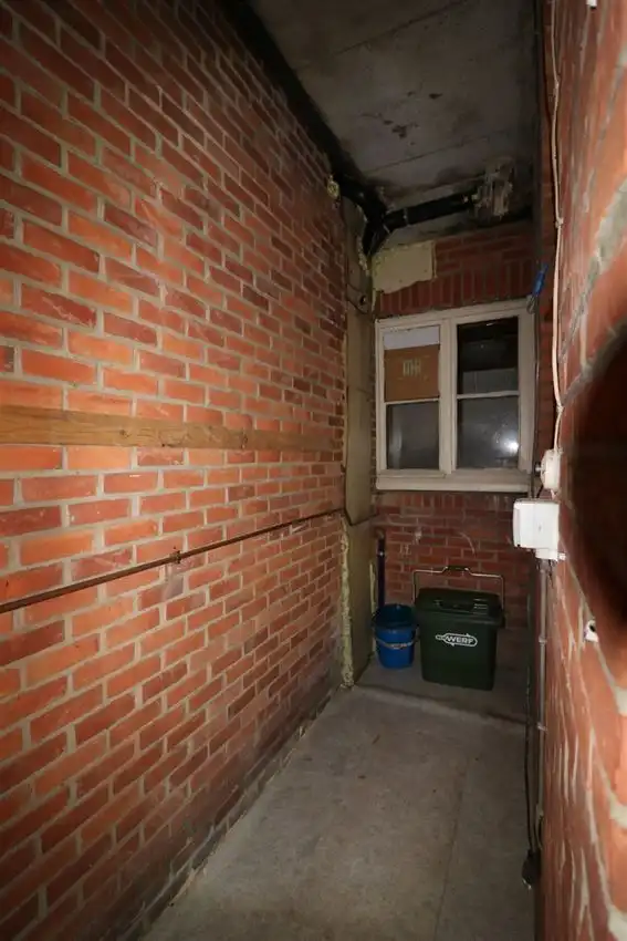 charmant, ruim, mogelijkheid beroep of kangoeroe foto 36