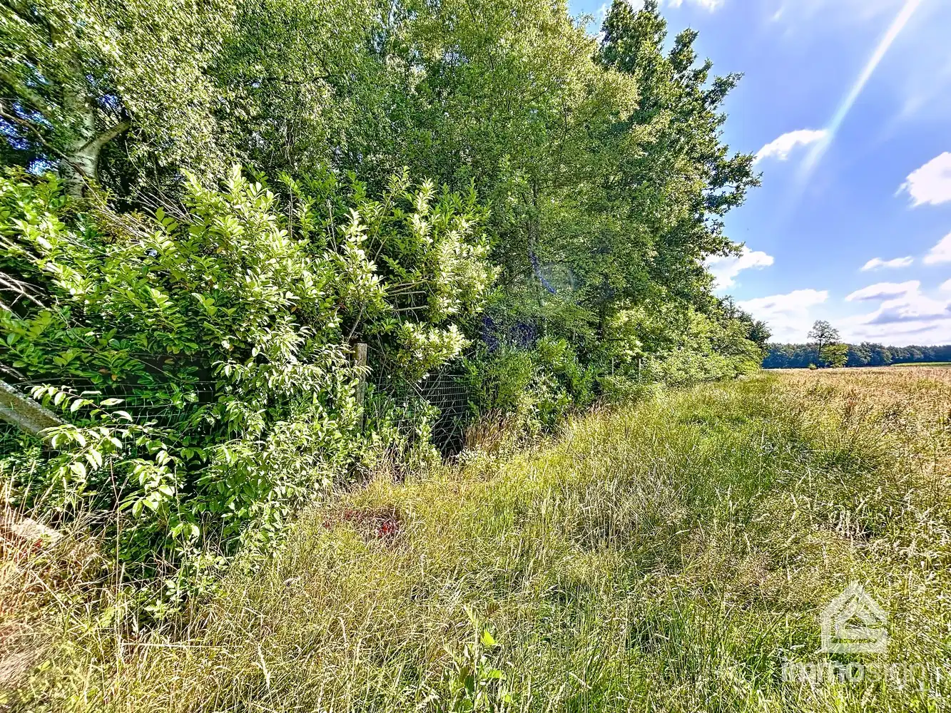 Uniek stuk grond van 9.050 m² in Grote-Brogel/Peer! foto 4