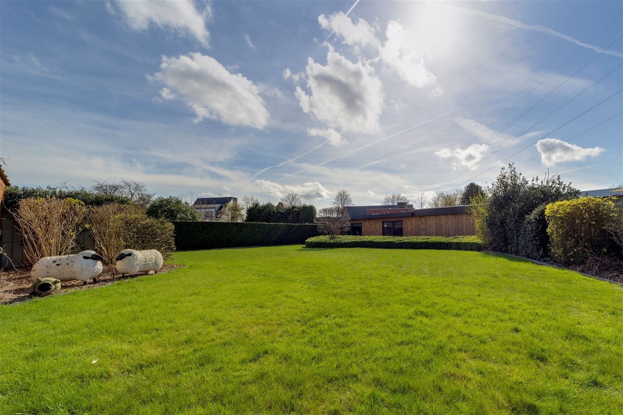 Woning met magazijn (649m²) op 2.749m² in Wommelgem foto 8