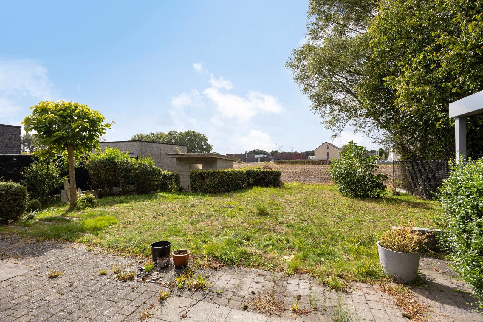 Woning met 3 slaapkamers te koop in Tessenderlo-Ham foto 19