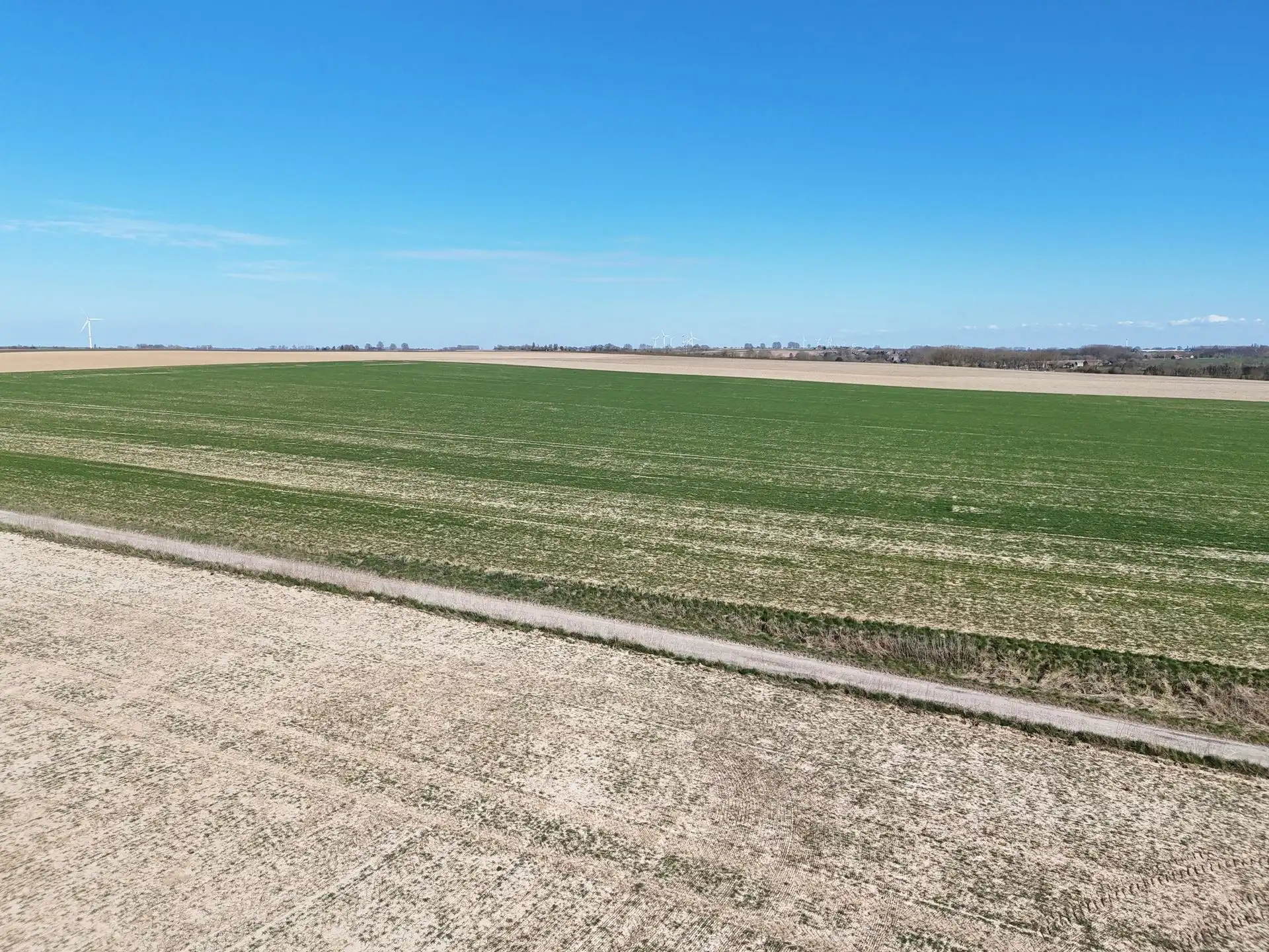 Groot perceel landbouwgrond - BLOK C foto 8