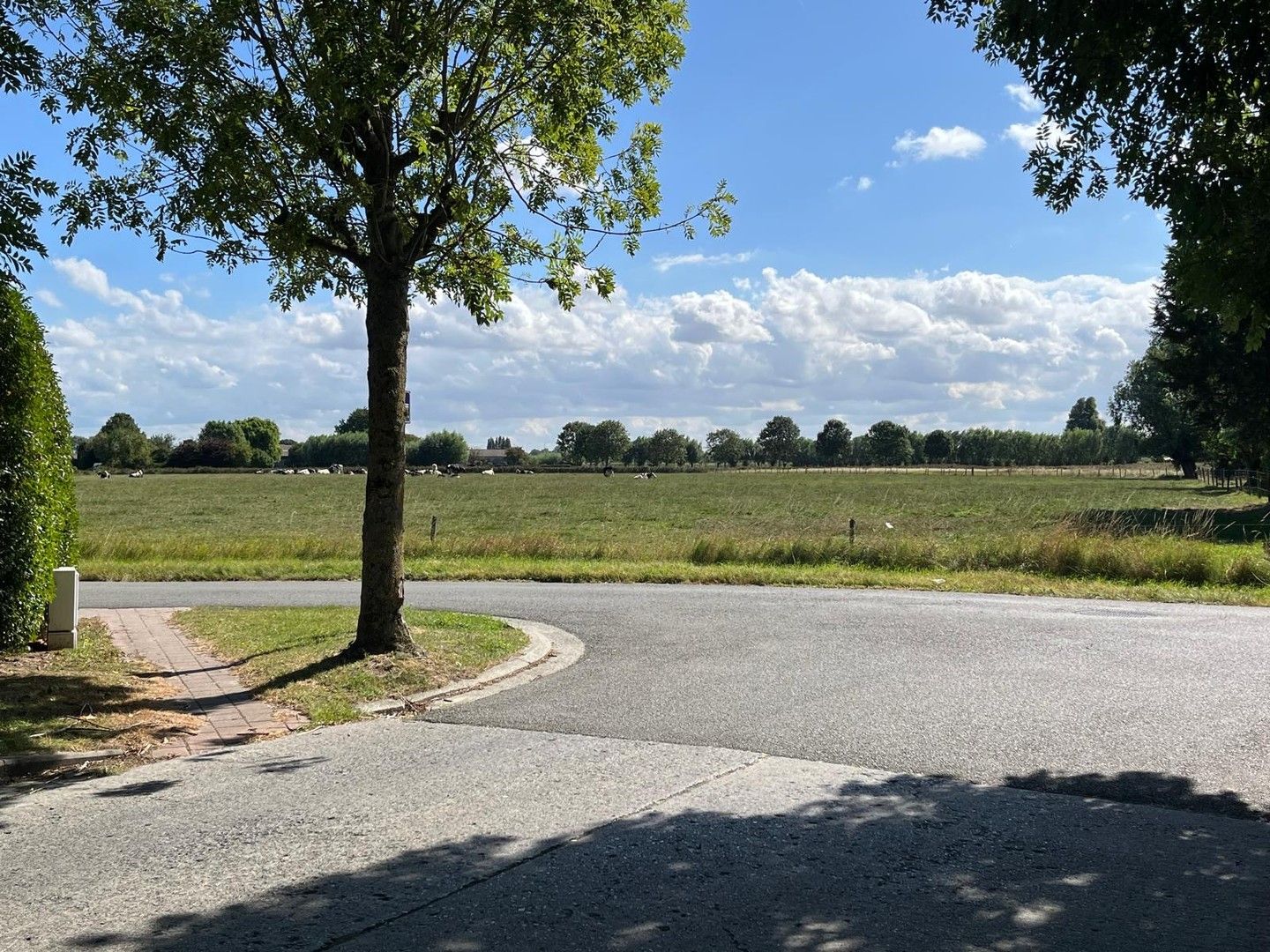 Recent gebouwde, energiezuinige villa gelegen in een rustige dreef van een centraal gelegen villawijk te Knokke-Heist. foto 23